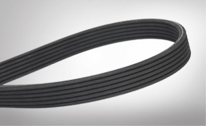 double belts