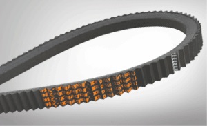 carrot harvester belts