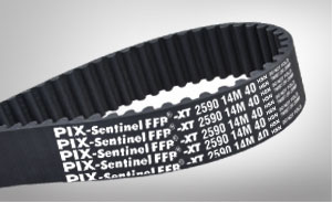 sentinel belt
