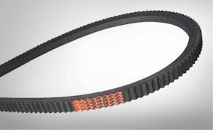 horticultural machines Belts